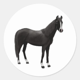 Pony Equestrian Western Zwart Paard Ronde Sticker