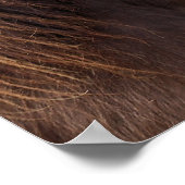 Pony Exmoor Poster (Hoek)