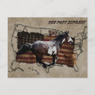 Pony Express Pinto Horse bezorgen US Mail Briefkaart