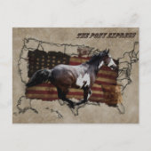 Pony Express Pinto Horse bezorgen US Mail Briefkaart (Voorkant)