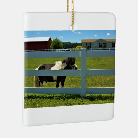 Pony Foto Keramisch Ornament (Rechts)