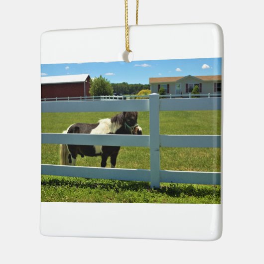 Pony Foto Keramisch Ornament (Links)