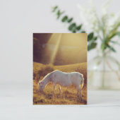 Pony Grazing Briefkaart (Staand voorkant)