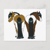 Pony hart briefkaart (Voorkant)