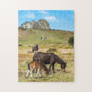 Pony Haytor rock in Dartmoor National Park Devon Legpuzzel