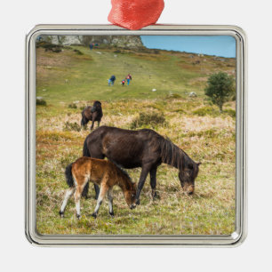 Pony Haytor rock in Dartmoor National park Devon Metalen Ornament
