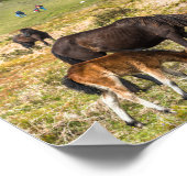 Pony Haytor rock in Dartmoor National Park Devon Poster (Hoek)