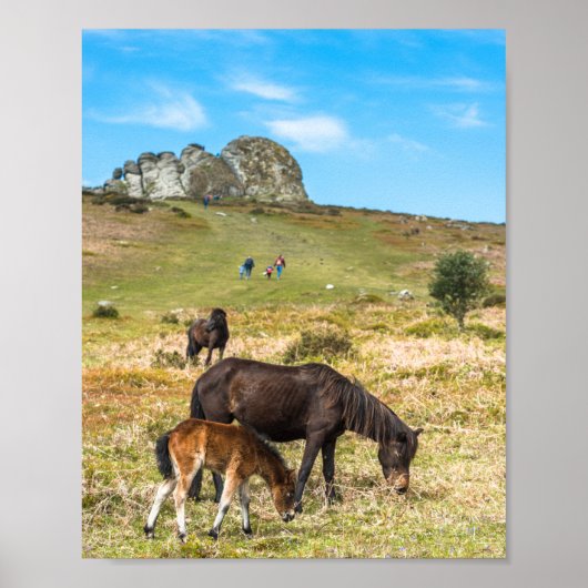 Pony Haytor rock in Dartmoor National Park Devon Poster (Voorkant)