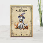 Pony Horse Witch Pumpkin Happy Halloween Bedankkaart (Voorkant)