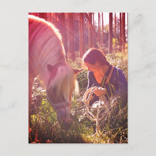 Pony im Wald Briefkaart (Voorkant)