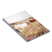 PONY IN DE AUTUMN NOTITIEBOEK (Rechterzijde)