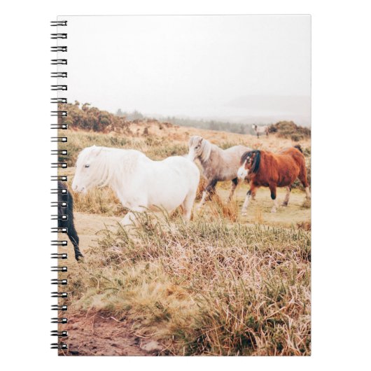 PONY IN DE AUTUMN NOTITIEBOEK (Voorkant)