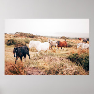 PONY IN DE AUTUMN POSTER