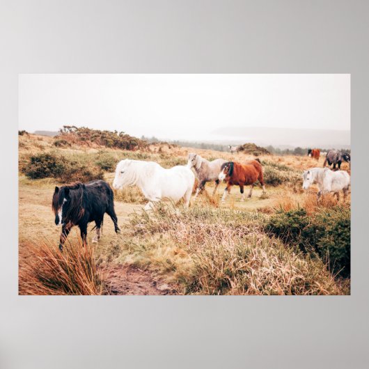 PONY IN DE AUTUMN POSTER (Voorkant)