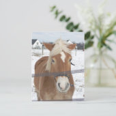 Pony in de winter briefkaart (Staand voorkant)