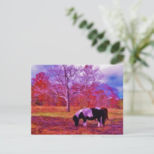 PONY IN EEN RAINBOW gekleurd veld Briefkaart (Staand voorkant)