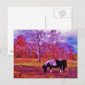 PONY IN EEN RAINBOW gekleurd veld Briefkaart (Voorkant / Achterkant)