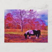 PONY IN EEN RAINBOW gekleurd veld Briefkaart (Voorkant)