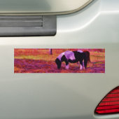 PONY IN EEN RAINBOW gekleurd veld Bumpersticker (Op auto)