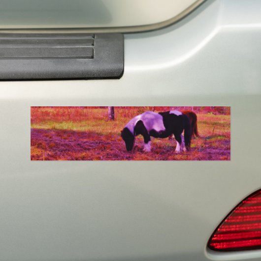 PONY IN EEN RAINBOW gekleurd veld Bumpersticker (Op auto)