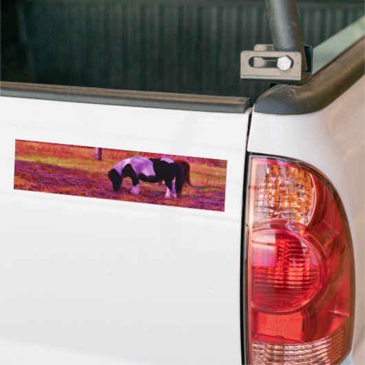 PONY IN EEN RAINBOW gekleurd veld Bumpersticker (Op Truck)