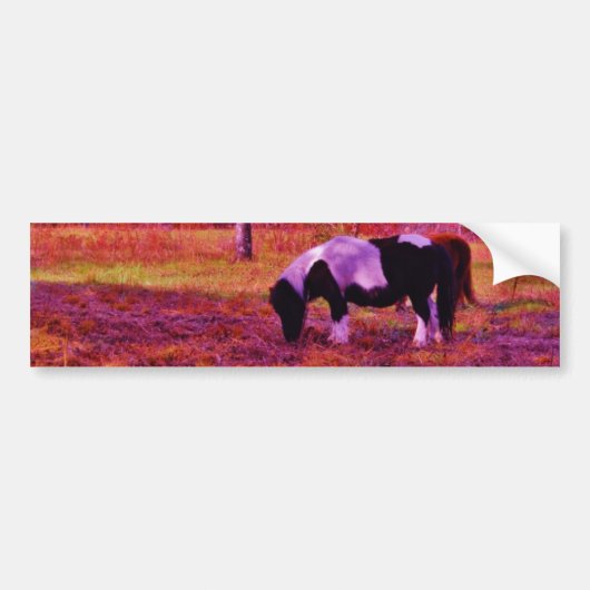 PONY IN EEN RAINBOW gekleurd veld Bumpersticker (Voorkant)