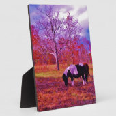 PONY IN EEN RAINBOW gekleurd veld Fotoplaat (Zijkant)