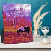 PONY IN EEN RAINBOW gekleurd veld Fotoplaat (Zijkant)