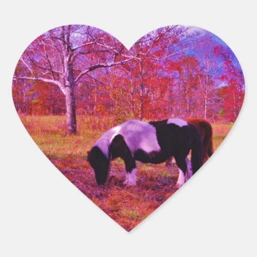 PONY IN EEN RAINBOW gekleurd veld Hart Sticker (Voorkant)