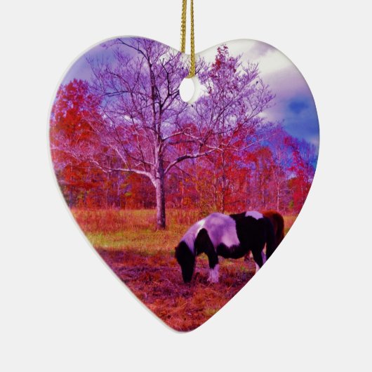 PONY IN EEN RAINBOW gekleurd veld Keramisch Ornament (Rechts)