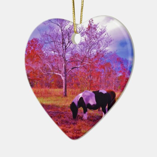 PONY IN EEN RAINBOW gekleurd veld Keramisch Ornament (Links)