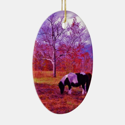 PONY IN EEN RAINBOW gekleurd veld Keramisch Ornament (Rechts)