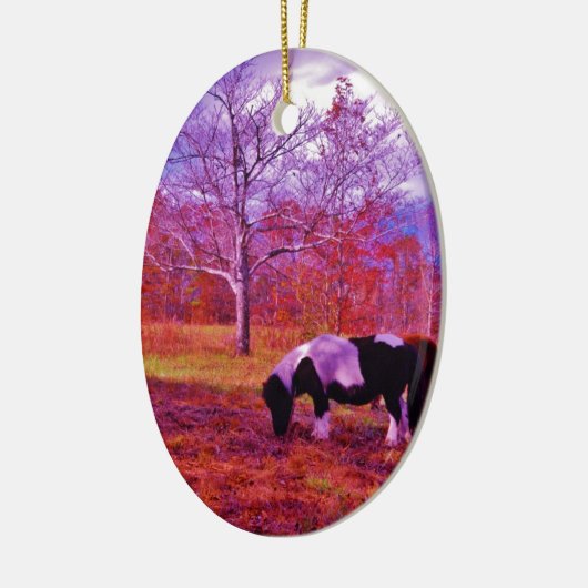 PONY IN EEN RAINBOW gekleurd veld Keramisch Ornament (Links)