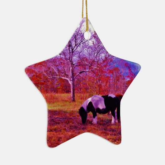 PONY IN EEN RAINBOW gekleurd veld Keramisch Ornament (Rechts)