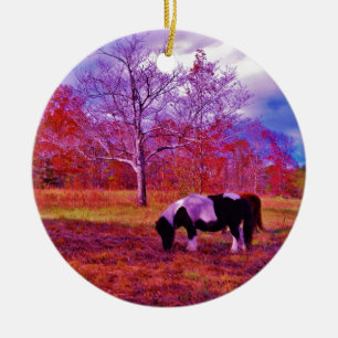 PONY IN EEN RAINBOW gekleurd veld Keramisch Ornament