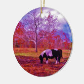 PONY IN EEN RAINBOW gekleurd veld Keramisch Ornament (Links)