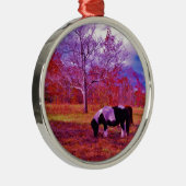 PONY IN EEN RAINBOW gekleurd veld Metalen Ornament (Rechts)