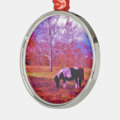 PONY IN EEN RAINBOW gekleurd veld Metalen Ornament (Links)