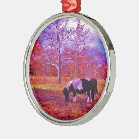 PONY IN EEN RAINBOW gekleurd veld Metalen Ornament (Links)
