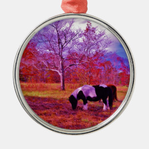 PONY IN EEN RAINBOW gekleurd veld Metalen Ornament