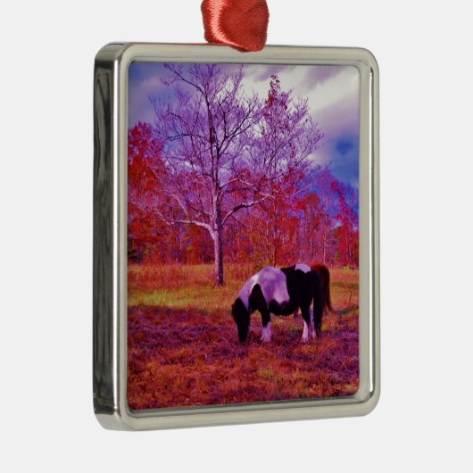 PONY IN EEN RAINBOW gekleurd veld Metalen Ornament (Rechts)