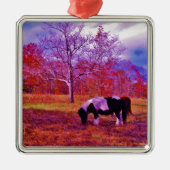 PONY IN EEN RAINBOW gekleurd veld Metalen Ornament (Voorkant)