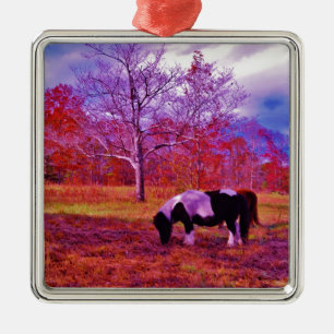 PONY IN EEN RAINBOW gekleurd veld Metalen Ornament