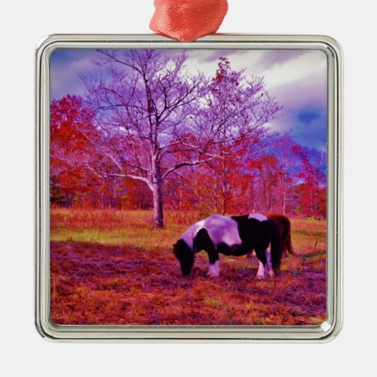 PONY IN EEN RAINBOW gekleurd veld Metalen Ornament (Voorkant)