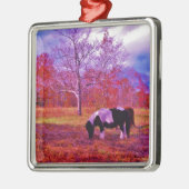 PONY IN EEN RAINBOW gekleurd veld Metalen Ornament (Links)