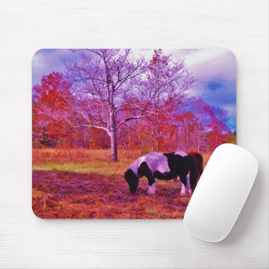 PONY IN EEN RAINBOW gekleurd veld Muismat (Met muis)