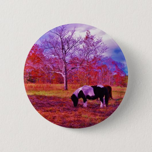 PONY IN EEN RAINBOW gekleurd veld Ronde Button 5,7 Cm (Voorkant)