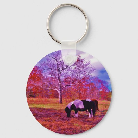 PONY IN EEN RAINBOW gekleurd veld Sleutelhanger (Voorkant)
