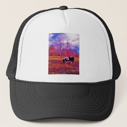PONY IN EEN RAINBOW gekleurd veld Trucker Pet (Voorkant)