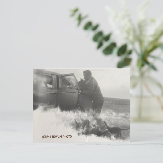 Pony in het Briefkaart van de auto (Staand voorkant)